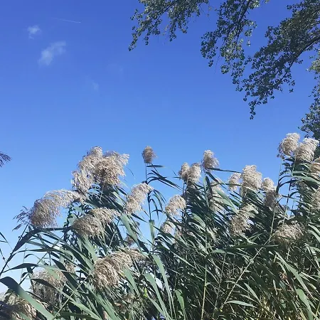 Muveszhaz Nyaralo Hébergement de vacances *