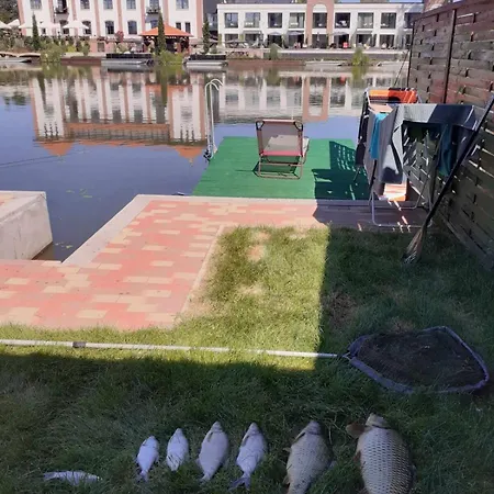 Muveszhaz Nyaralo *